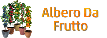 Albero Da Frutto